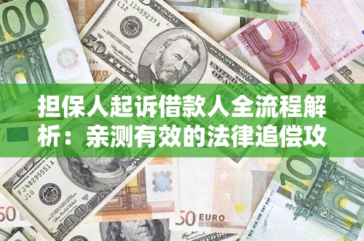 济南担保人起诉借款人全流程解析：亲测有效的法律追偿攻略