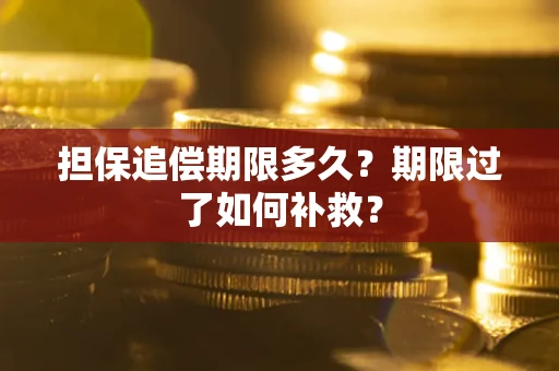 济南担保追偿期限多久？期限过了如何补救？