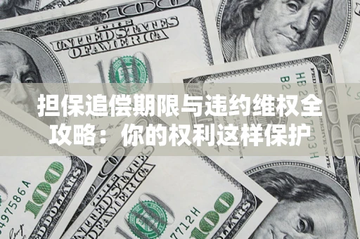 济南担保追偿期限与违约维权全攻略：你的权利这样保护