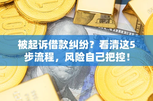 济南被起诉借款纠纷？看清这5步流程，风险自己把控！